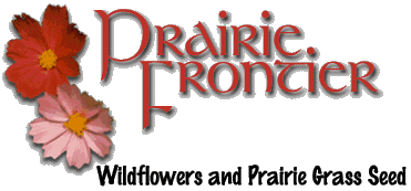 Wildflower and prairie grass seed by Prairie Frontier