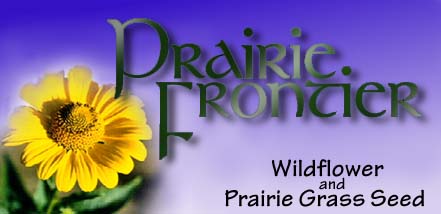 Wildflower Greeting Cards by Prairie Frontier-visit our Homepage